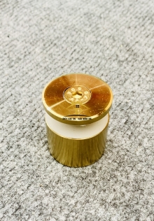 Ốc đặc màu vàng